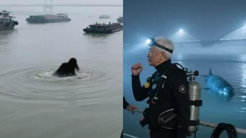 钱塘江黑影秘闻