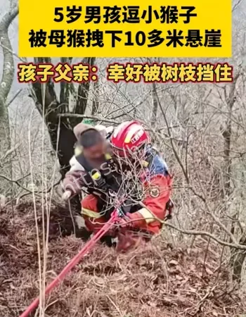 男孩被猴妈拽下悬崖